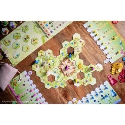 Gnome Hollow -Jeux De Société GH2