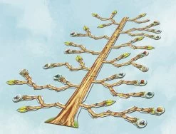 L’Arbre -Jeux De Société L Arbre 21 1