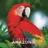 Life Of The Amazonia – Bundle 2 -Jeux De Société LotA01